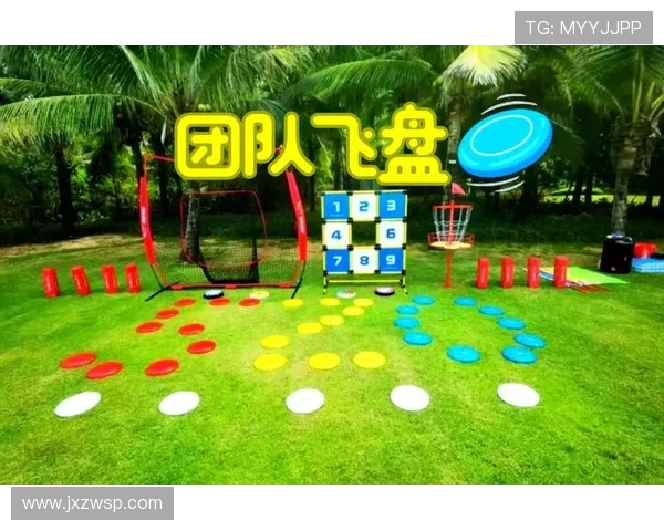成都飞盘队的运营揭秘：探索飞盘运动的深度与魅力